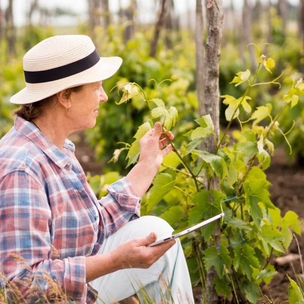 Mujer en un campo, rodeada de viñedos, simbolizando la conexión con la enología y la naturaleza.