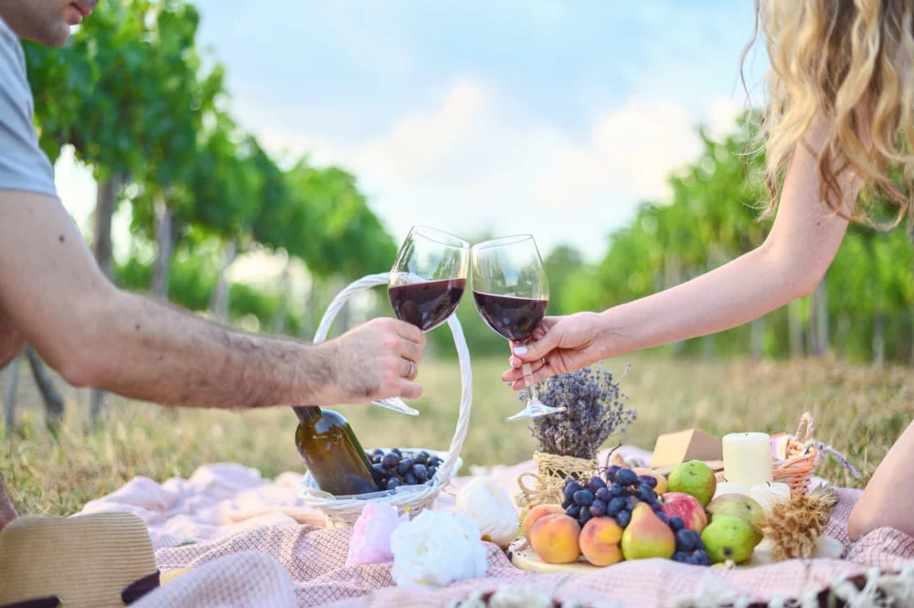 Una pareja brindando con vino en un viñedo, rodeados de vides y un paisaje natural.