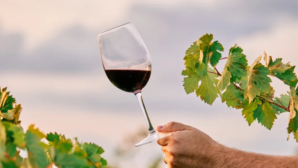 Nombres-vinos-tradición-calidad-cada-etiqueta