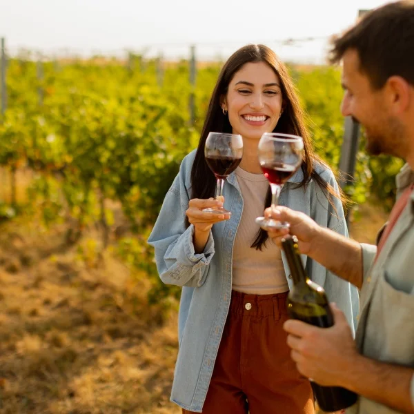 Una pareja sonriente brinda con copas de vino tinto durante una cata en un viñedo al aire libre.